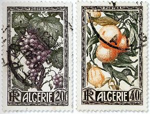 TIMBRES DE LA FOIRE D ORAN 1952   (11)